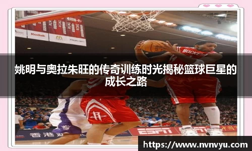 米乐YY易游