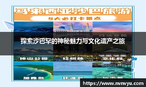 易游体育
